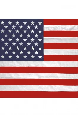 Bandana Stars/Stripes 1