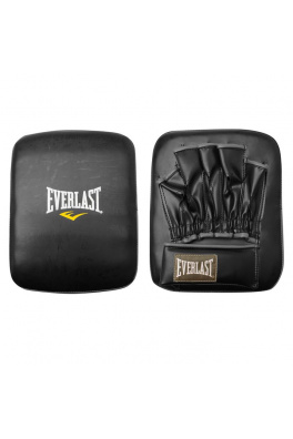 Everlast Punch Kick Mitt
