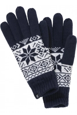 Snow Gloves navy