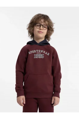 Chlapecká bavlněná mikina